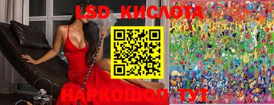 гидропоника Берёзовский