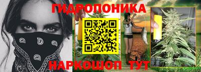 молекула духа Бийск