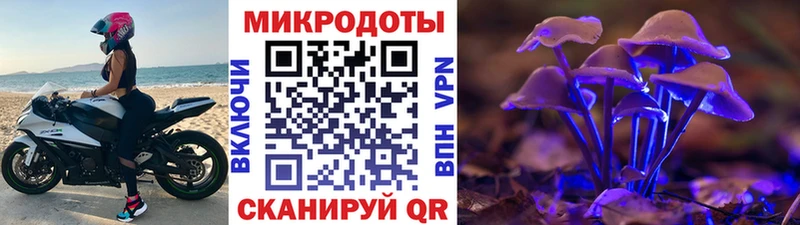 хочу Волгодонск Псилоцибиновые грибы Psilocybine cubensis