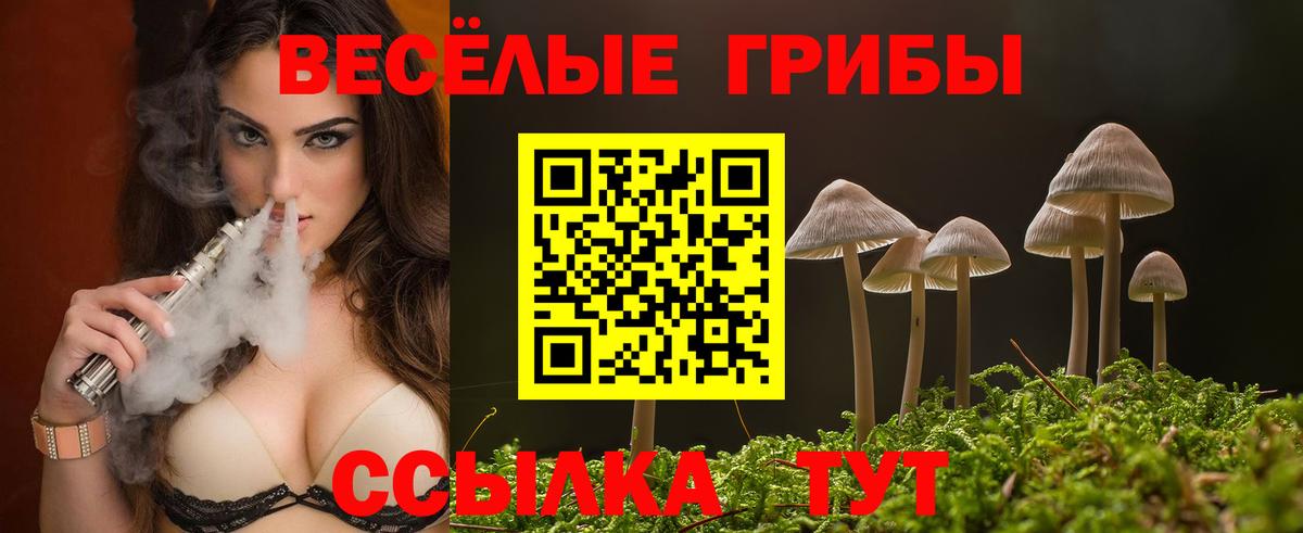 Галлюциногенные грибы мицелий Волгодонск