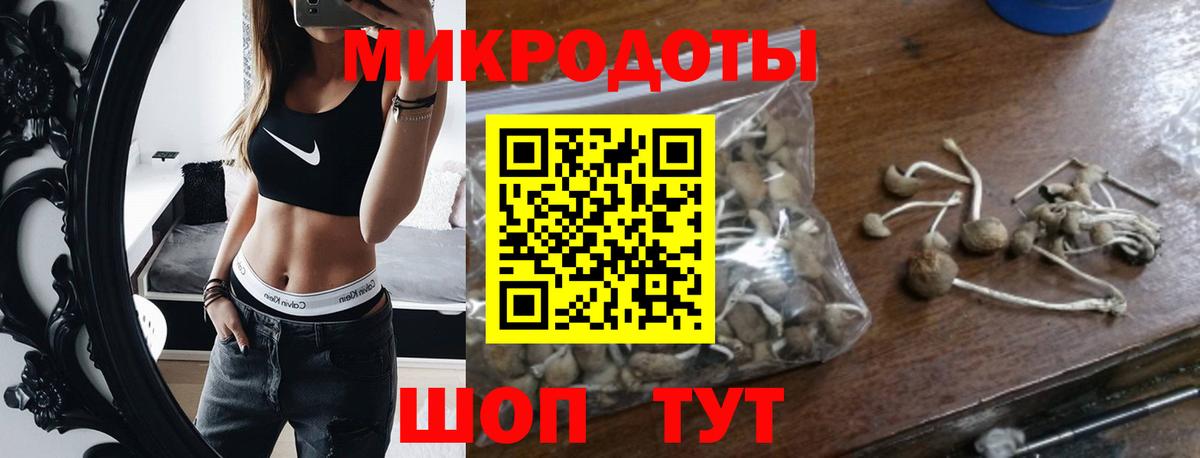 Галлюциногенные грибы MAGIC MUSHROOMS  Псилоцибиновые грибы Psilocybine cubensis  Вход с VPN  Волгодонск 